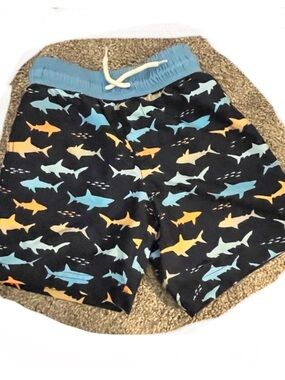 Boys Shark Themed Swim Trunks 4T
